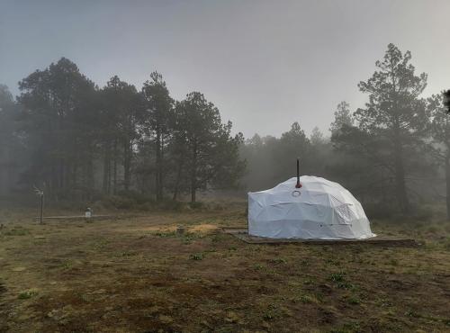 1046glamping-domo-parque-valle-alegre