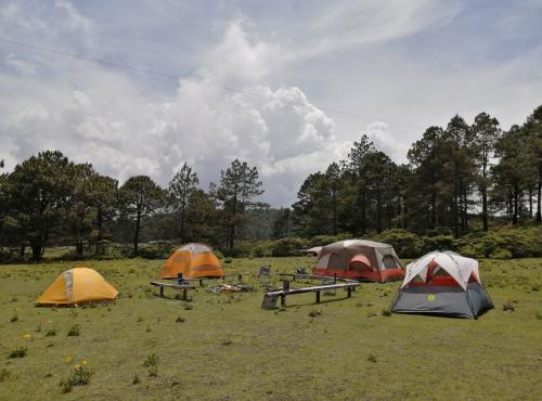 1170camping-prive-campamento-privado-valle-alegre-zona-exclusiva