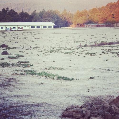 area-de-campamento-2