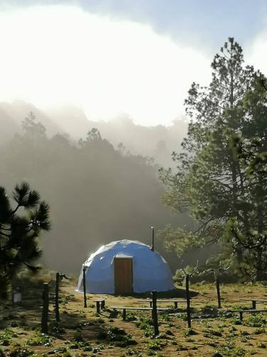 glamping-domo-8