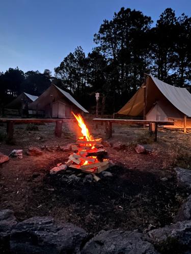 glamping-fogatas-parque-valle-alegre-2025-5