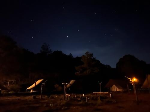 glamping-parque-valle-alegre-2025-5