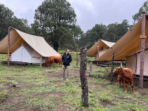 glamping-parque-valle-alegre-2025