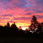 area de campamento 11