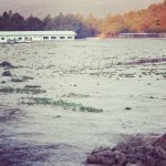 area de campamento 2