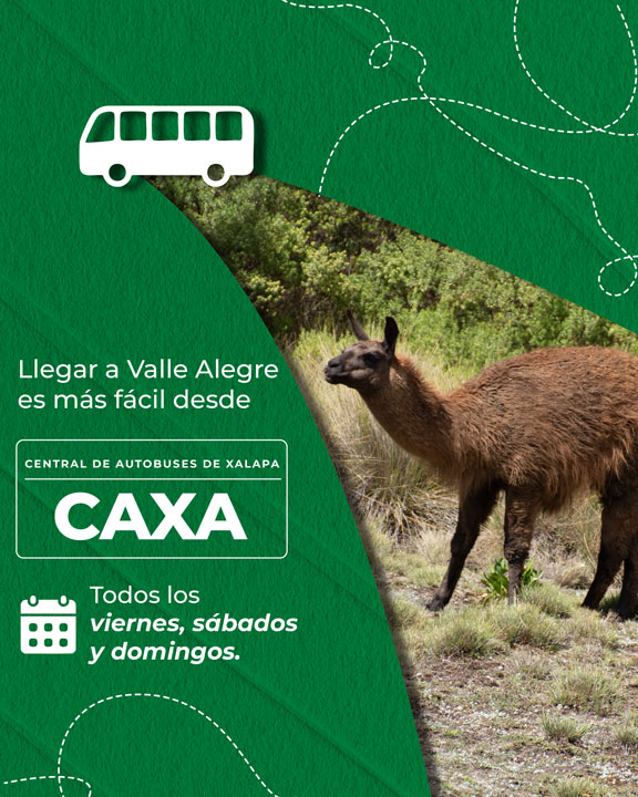 TRS-a-Valle-Alegre-2